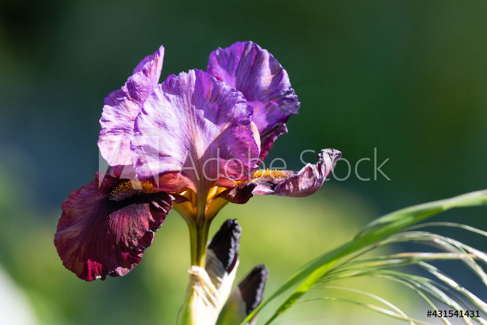 Photography by L Tyrrell