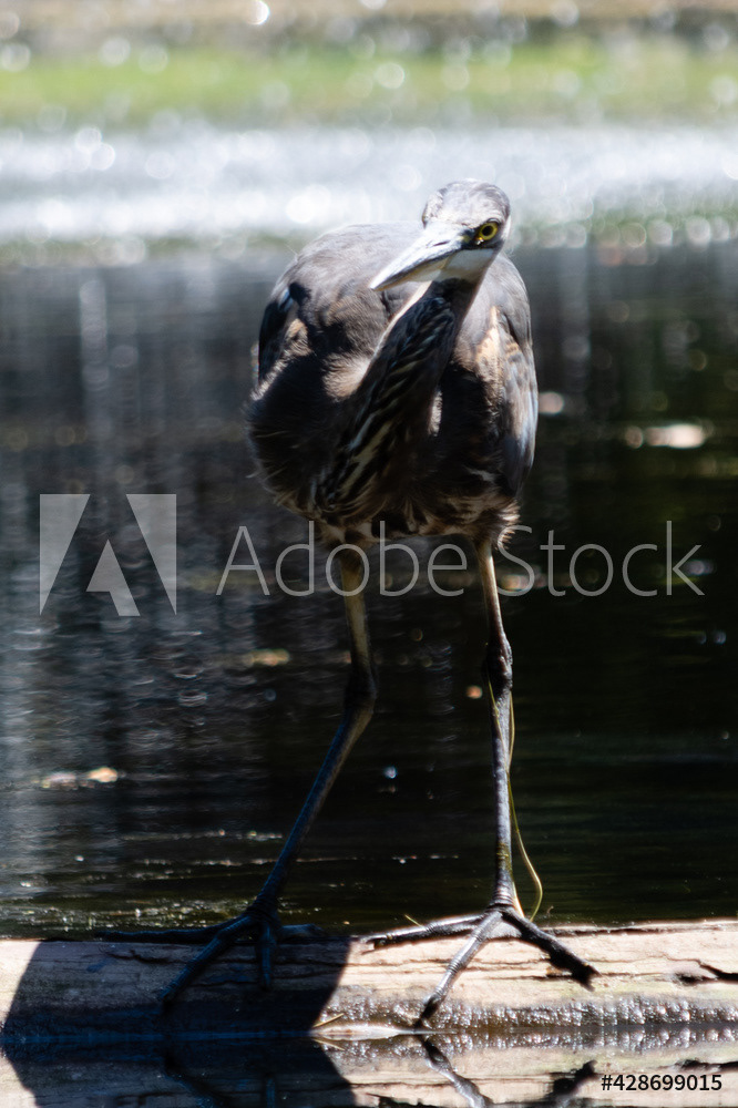 Photography by L Tyrrell