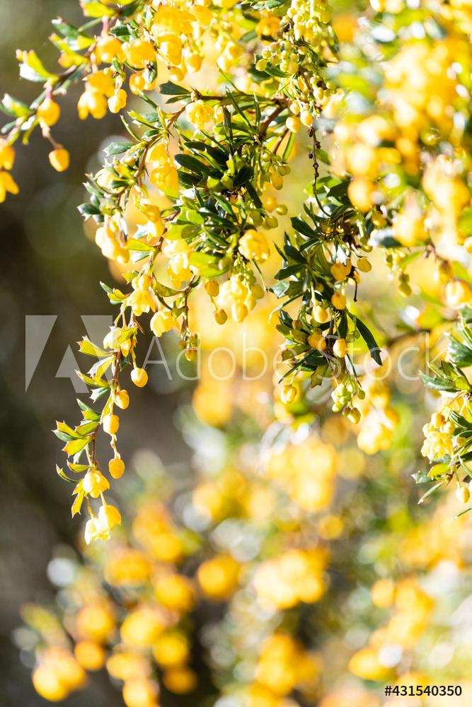 Photography by L Tyrrell