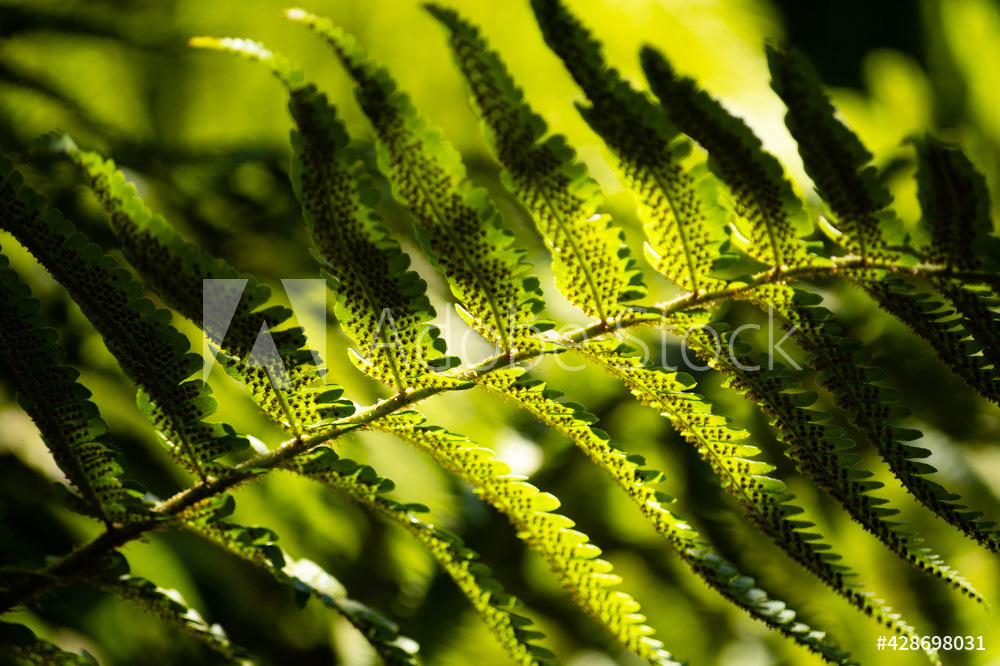 Photography by L Tyrrell