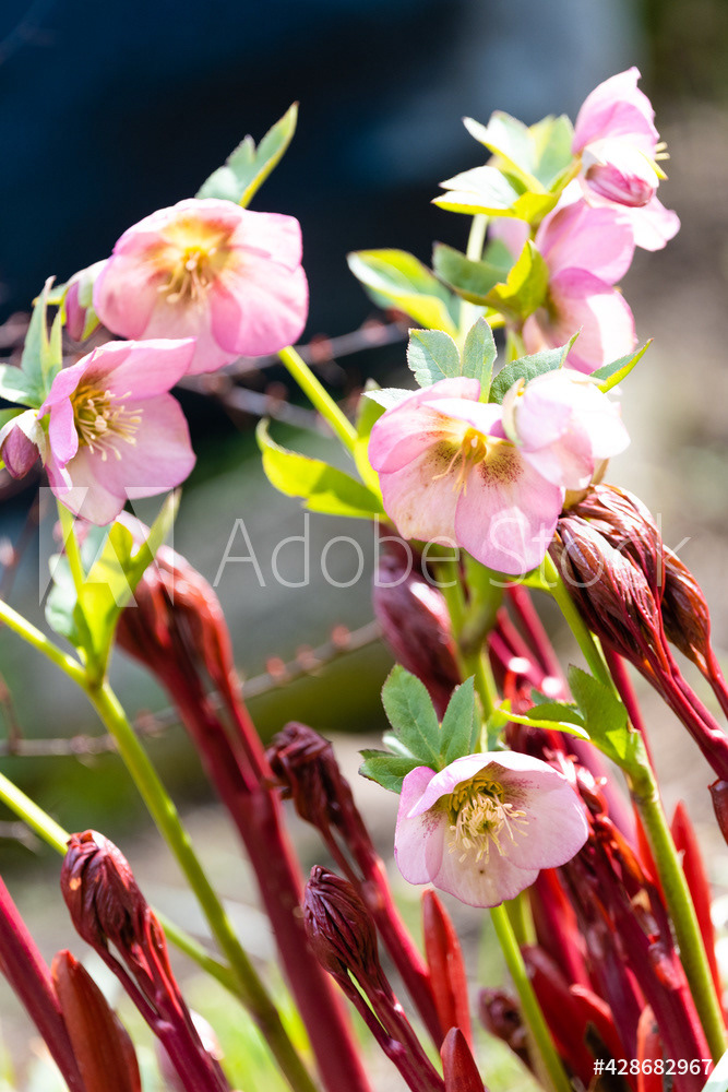 Photography by L Tyrrell