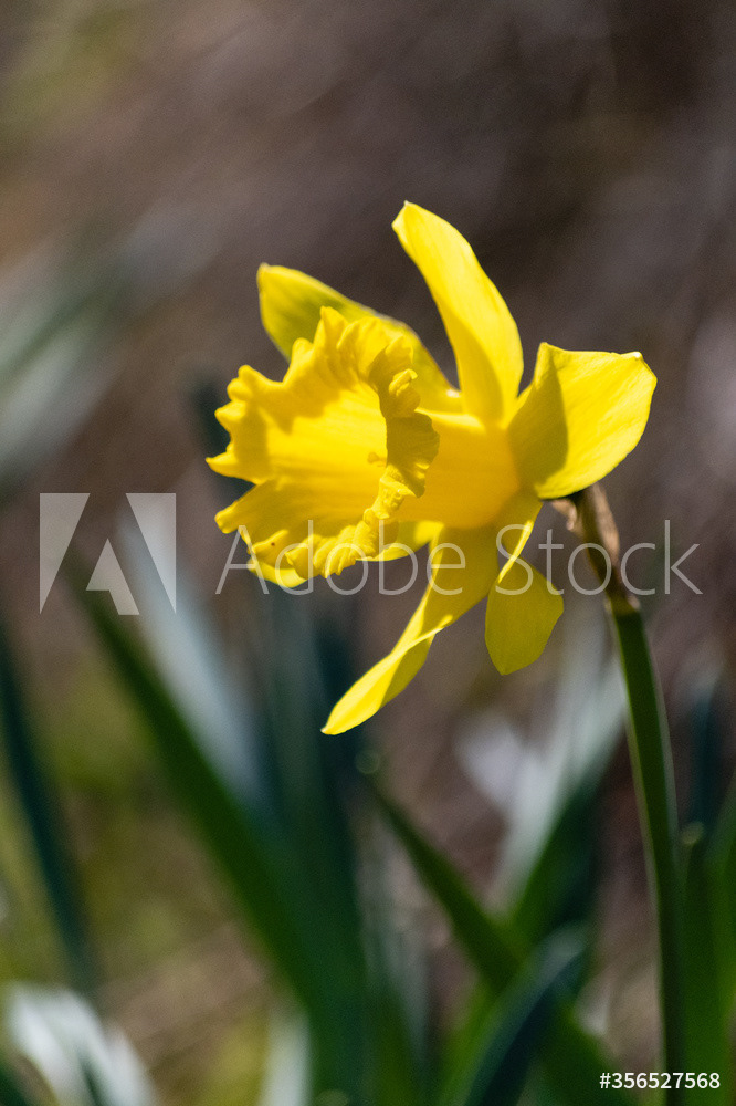 Photography by L Tyrrell