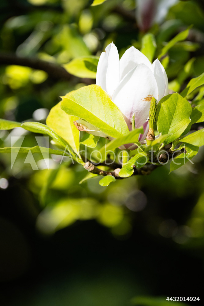 Photography by L Tyrrell