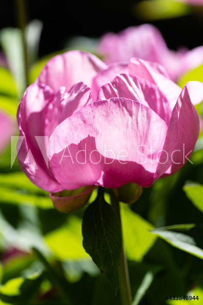 Photography by L Tyrrell