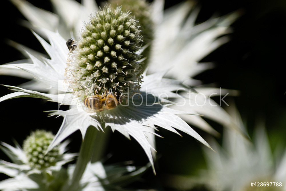 Photography by L Tyrrell