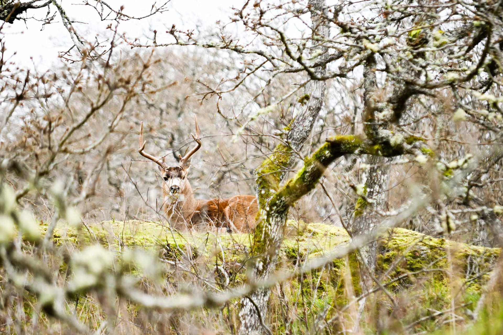 Photography by L Tyrrell