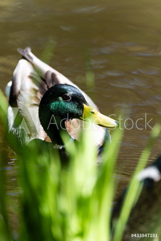 Photography by L Tyrrell