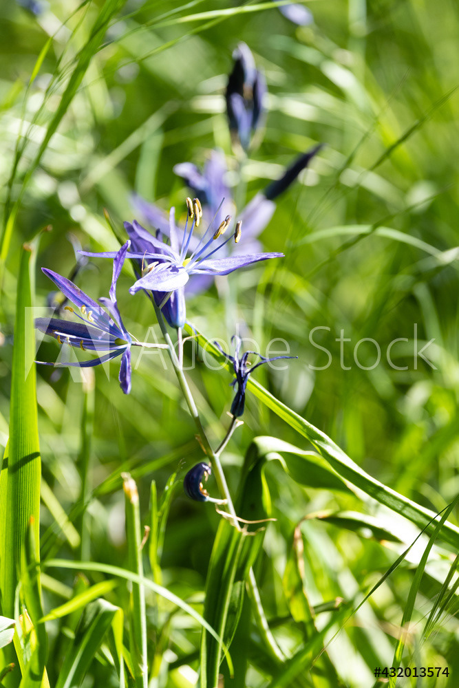 Photography by L Tyrrell