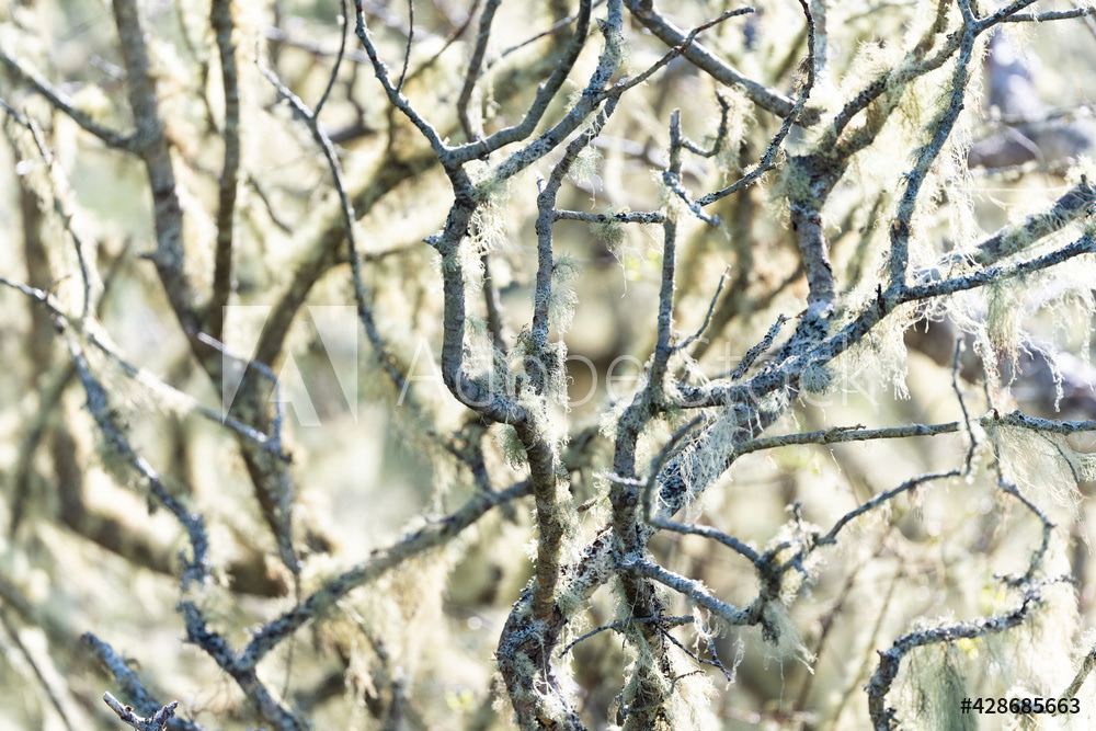 Photography by L Tyrrell