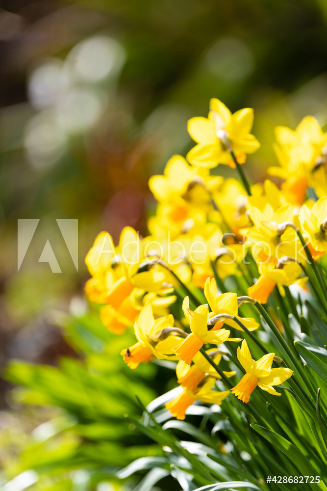 Photography by L Tyrrell