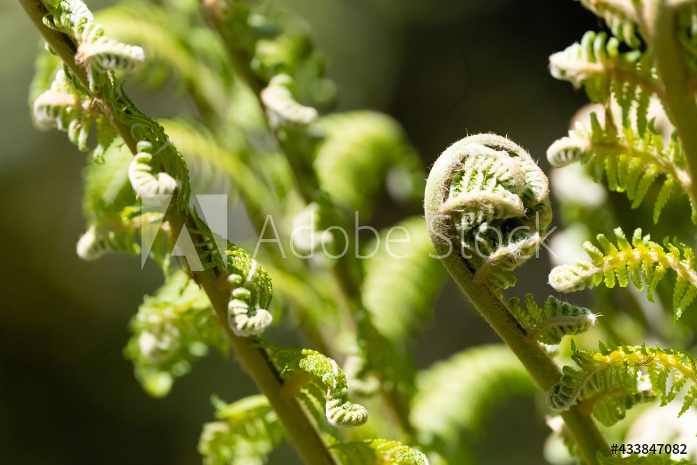 Photography by L Tyrrell