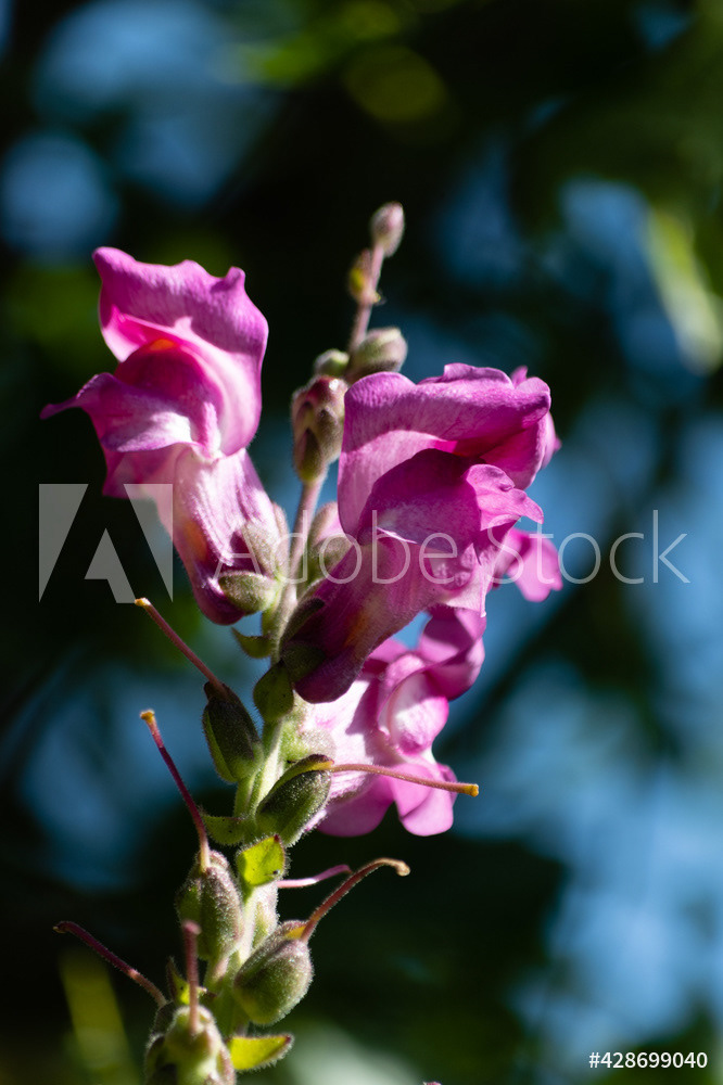 Photography by L Tyrrell