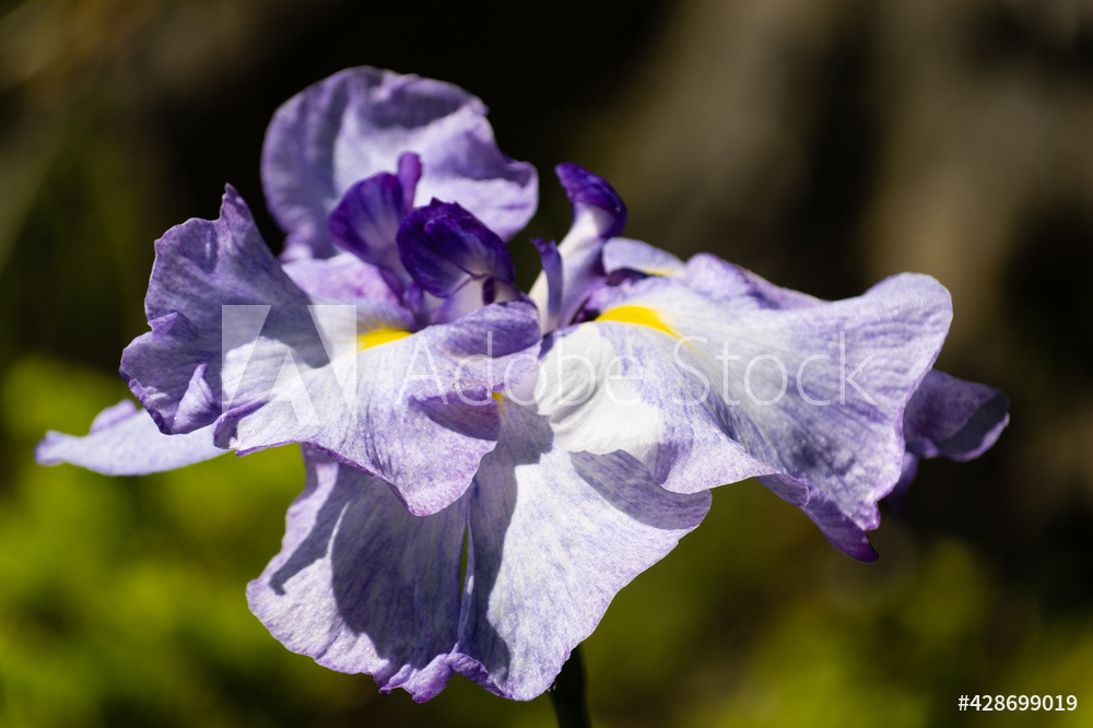 Photography by L Tyrrell