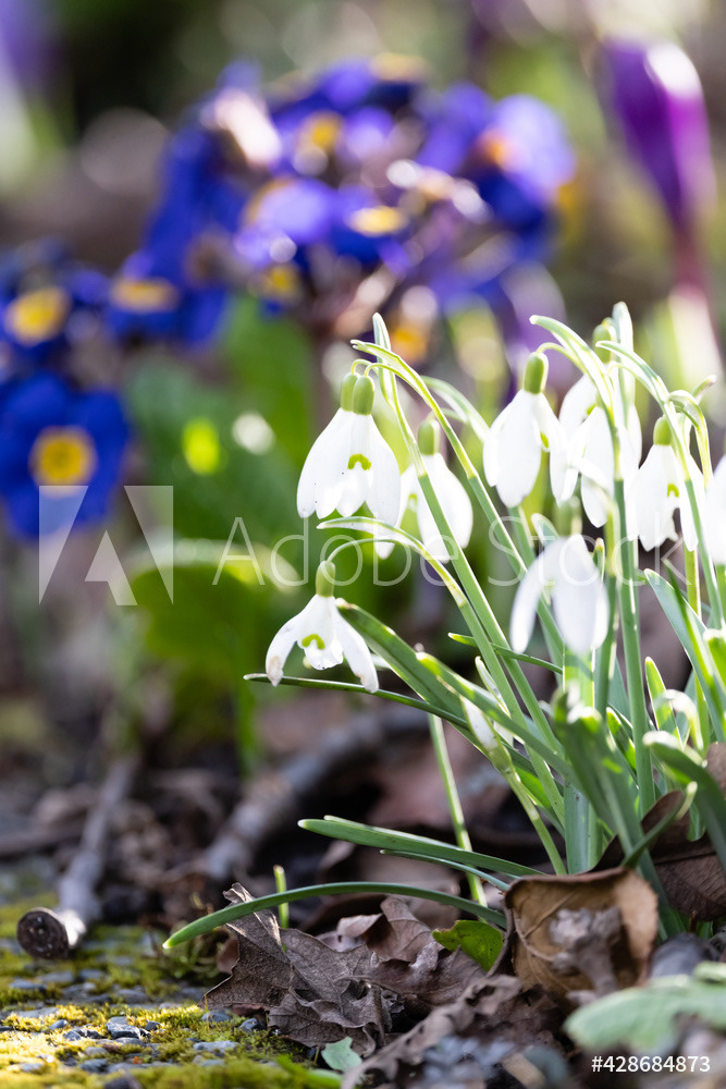 Photography by L Tyrrell