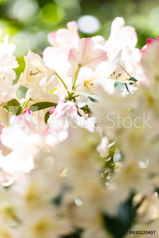 Photography by L Tyrrell