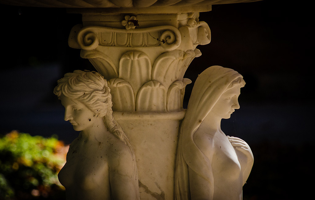 Photography by L Tyrrell