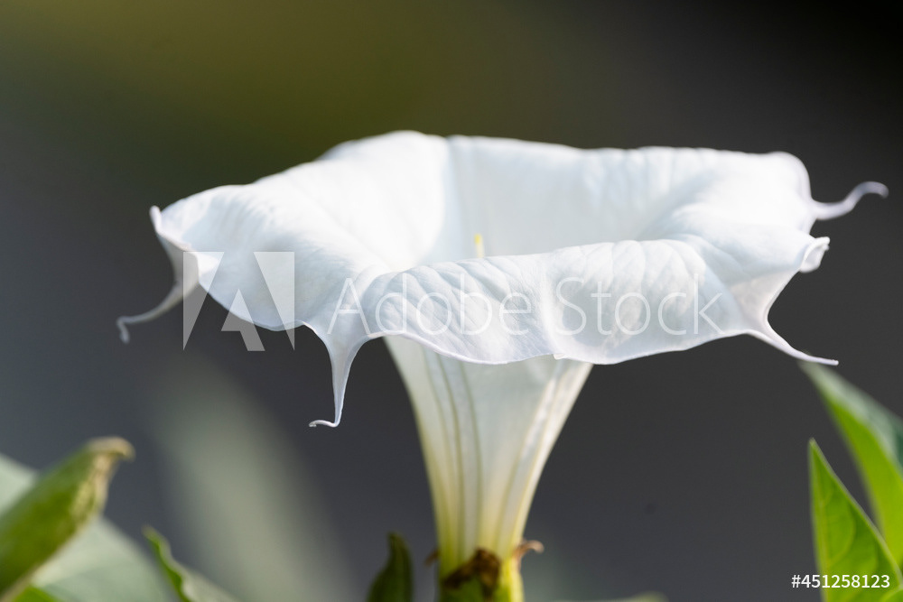 Photography by L Tyrrell