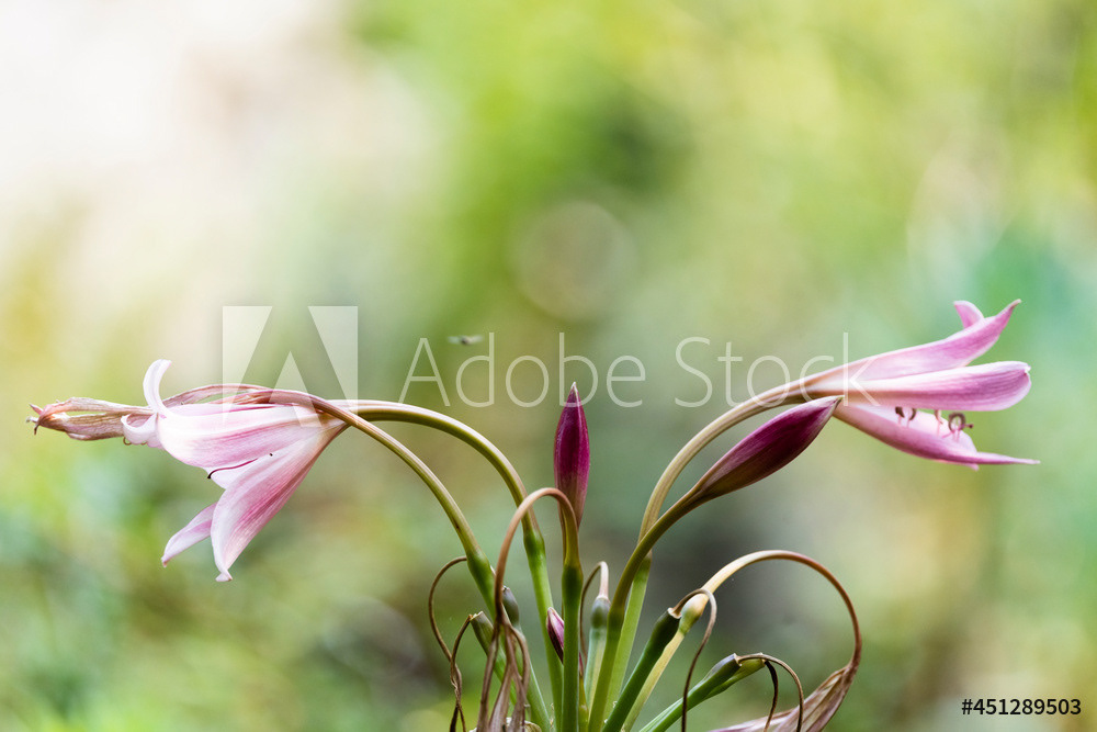 Photography by L Tyrrell