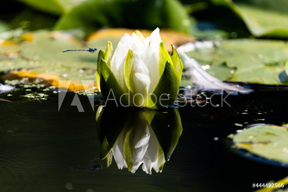 Photography by L Tyrrell