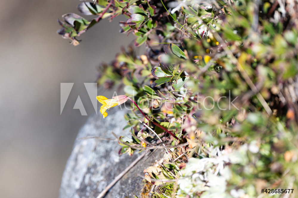 Photography by L Tyrrell