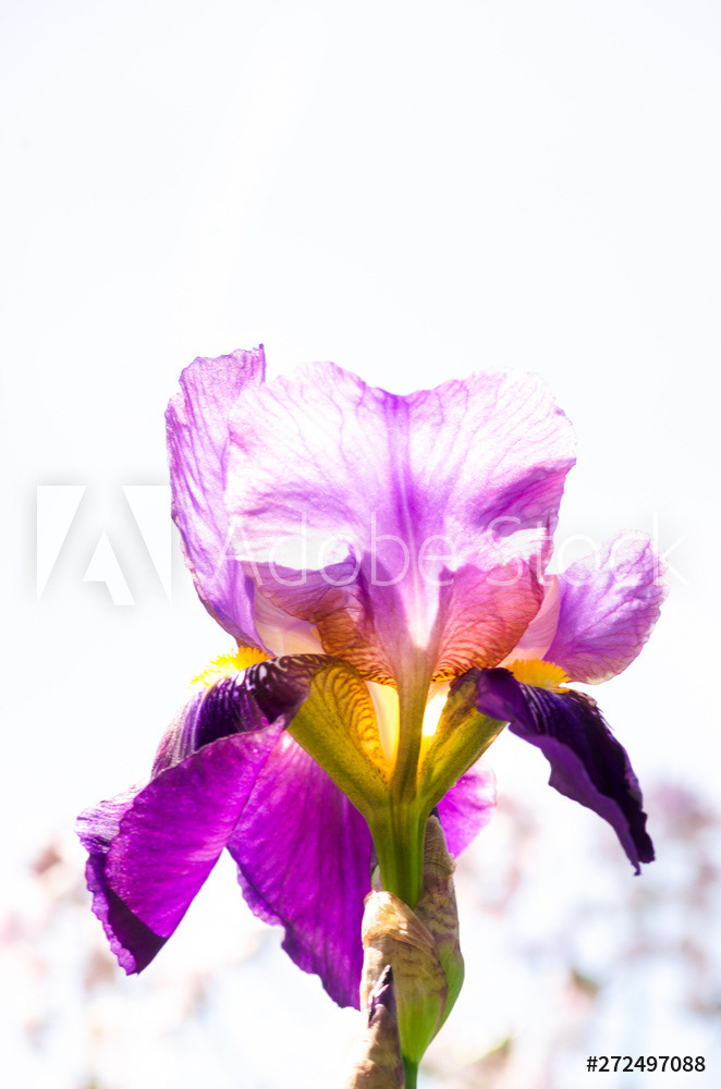 Photography by L Tyrrell