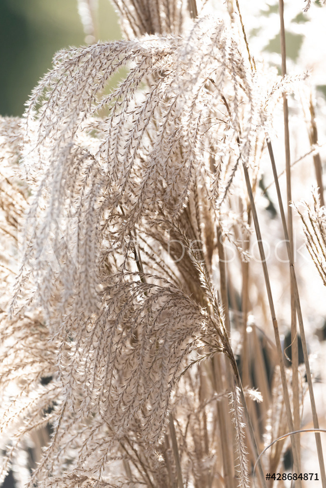 Photography by L Tyrrell