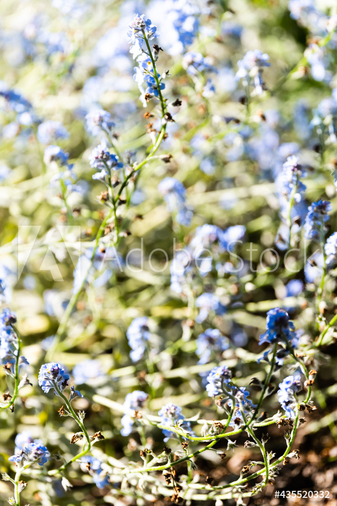 Photography by L Tyrrell