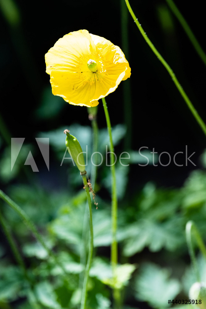 Photography by L Tyrrell