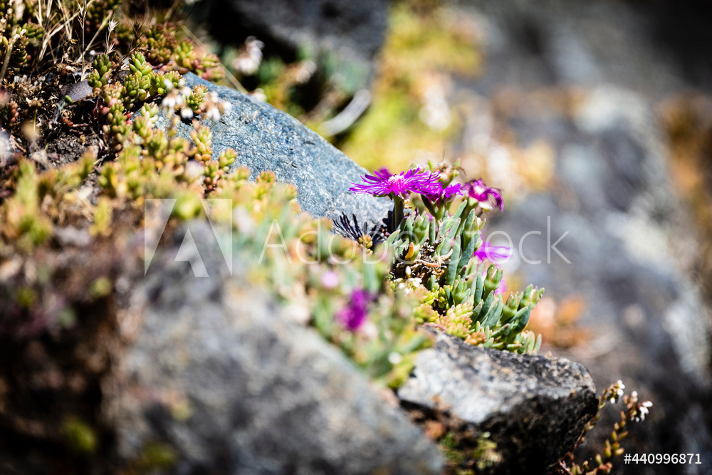 Photography by L Tyrrell