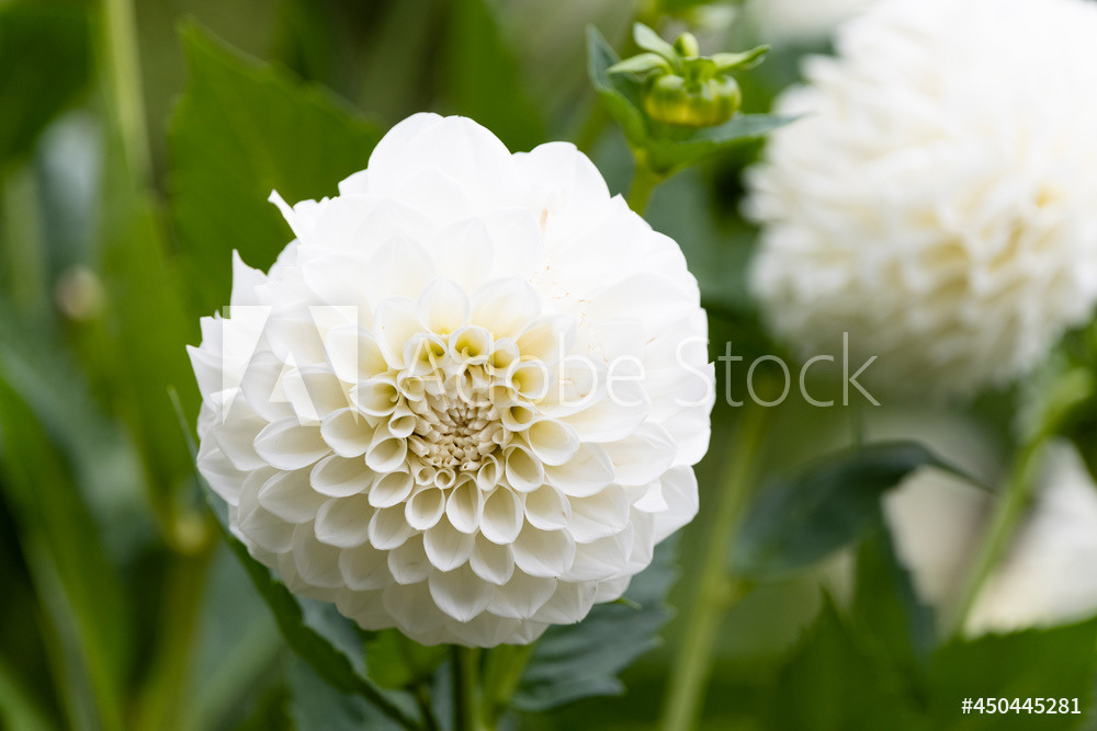 Photography by L Tyrrell