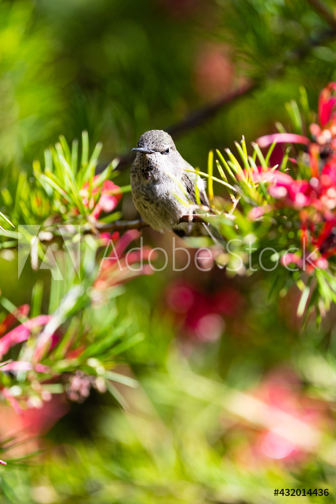 Photography by L Tyrrell