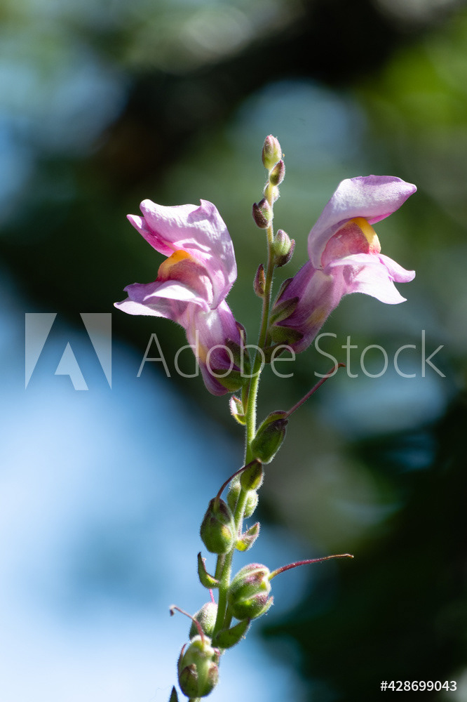 Photography by L Tyrrell