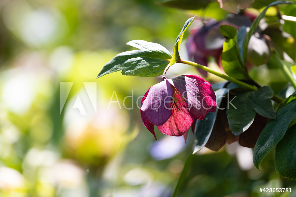 Photography by L Tyrrell