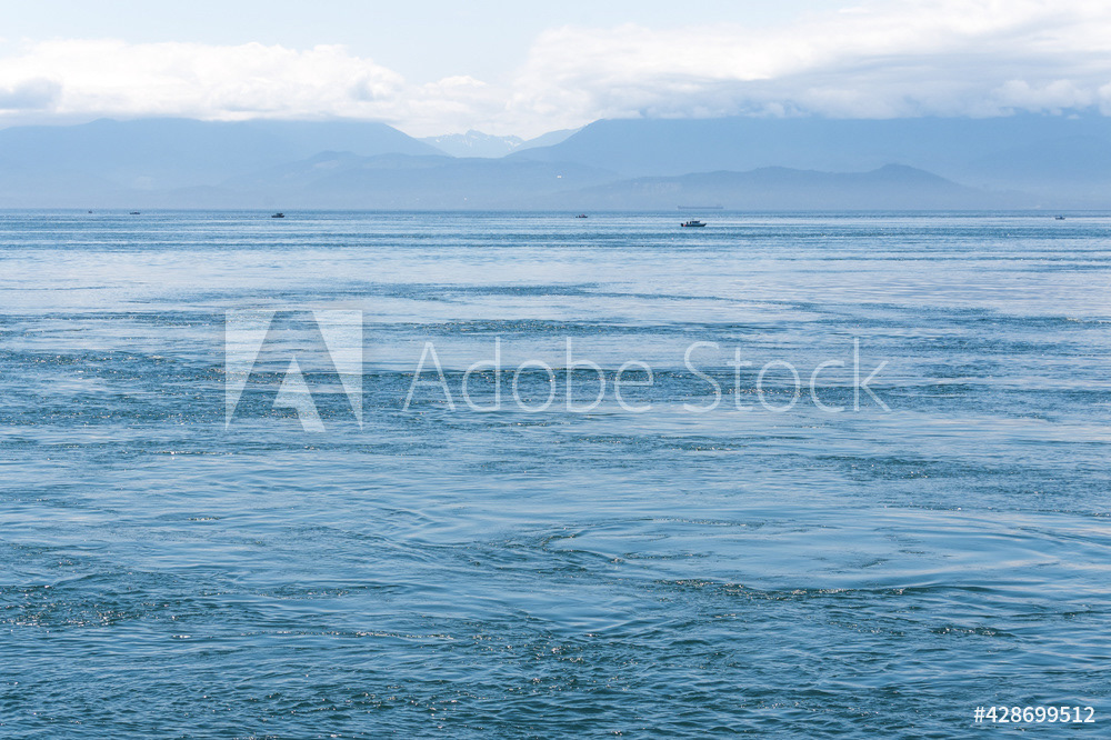 Photography by L Tyrrell