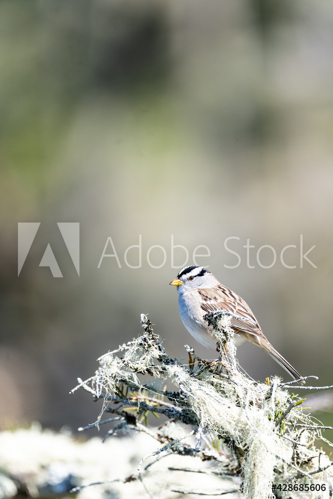 Photography by L Tyrrell