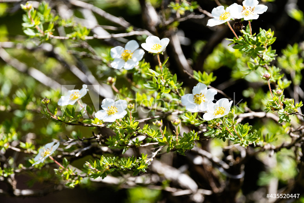 Photography by L Tyrrell