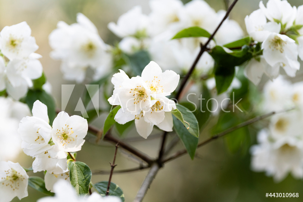 Photography by L Tyrrell