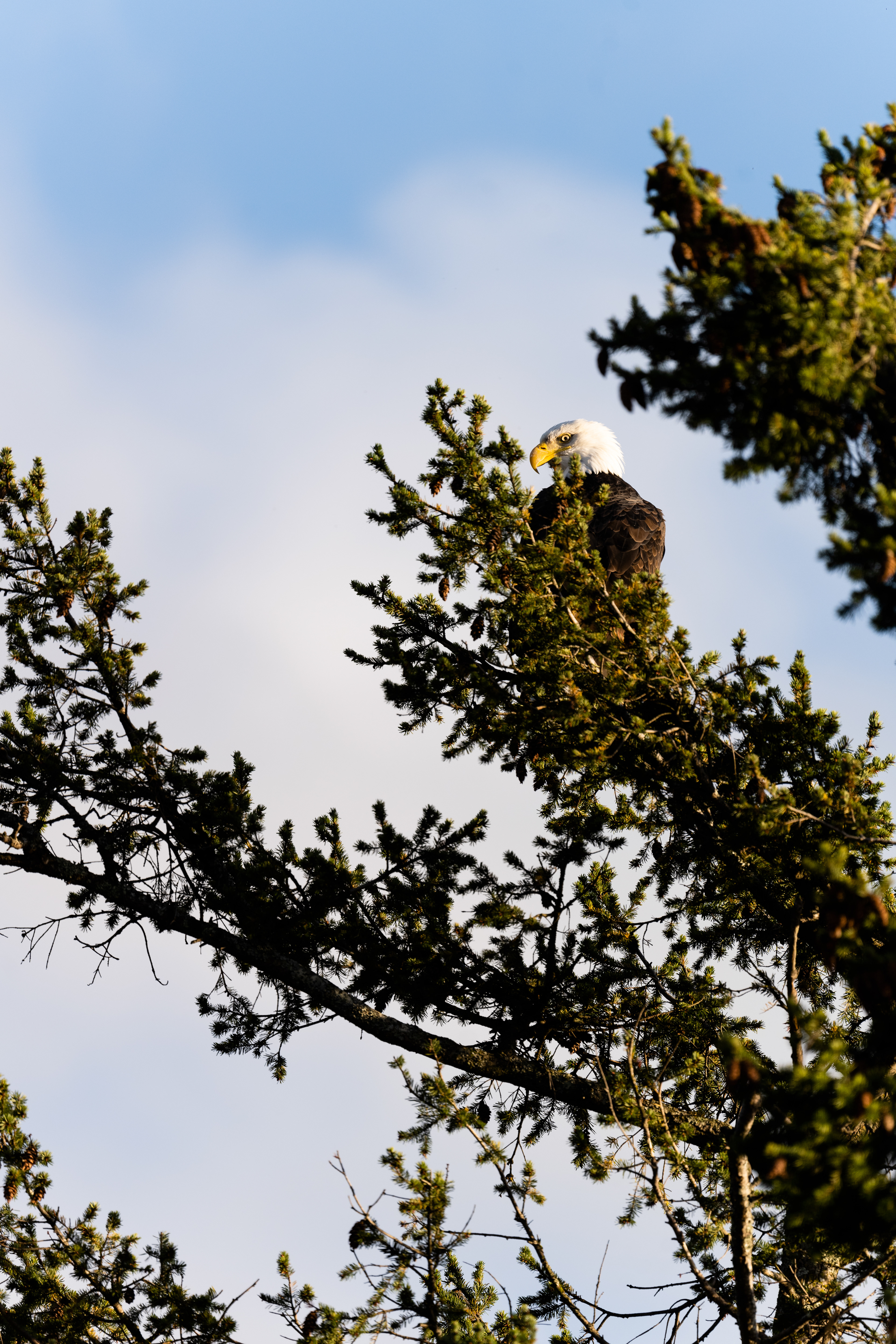 Photography by L Tyrrell