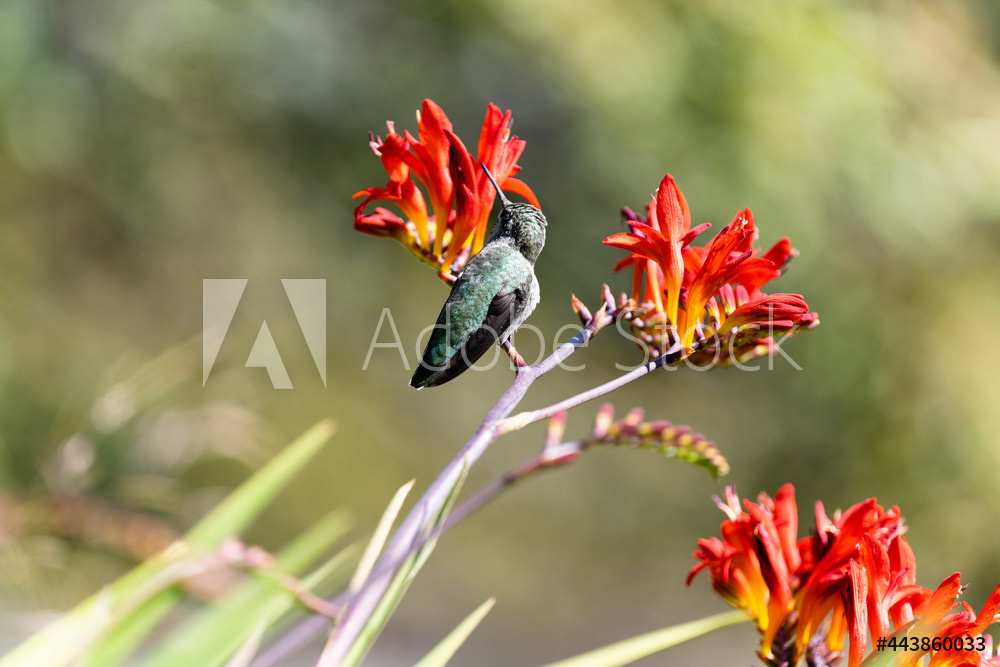 Photography by L Tyrrell