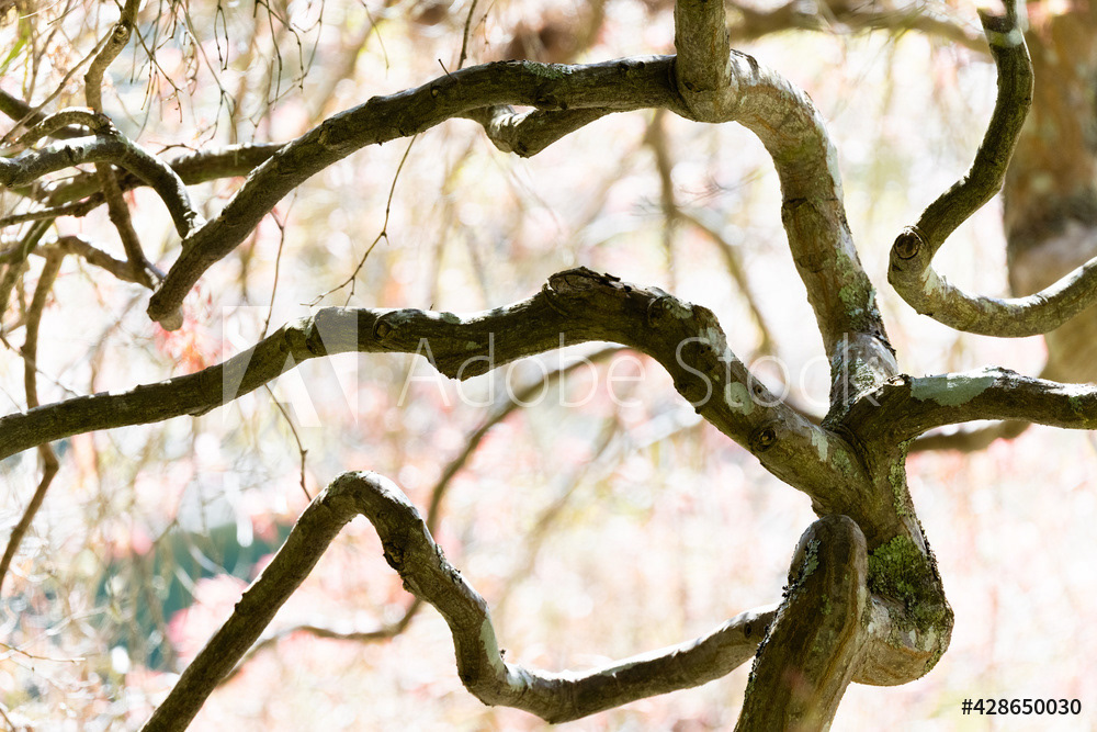 Photography by L Tyrrell