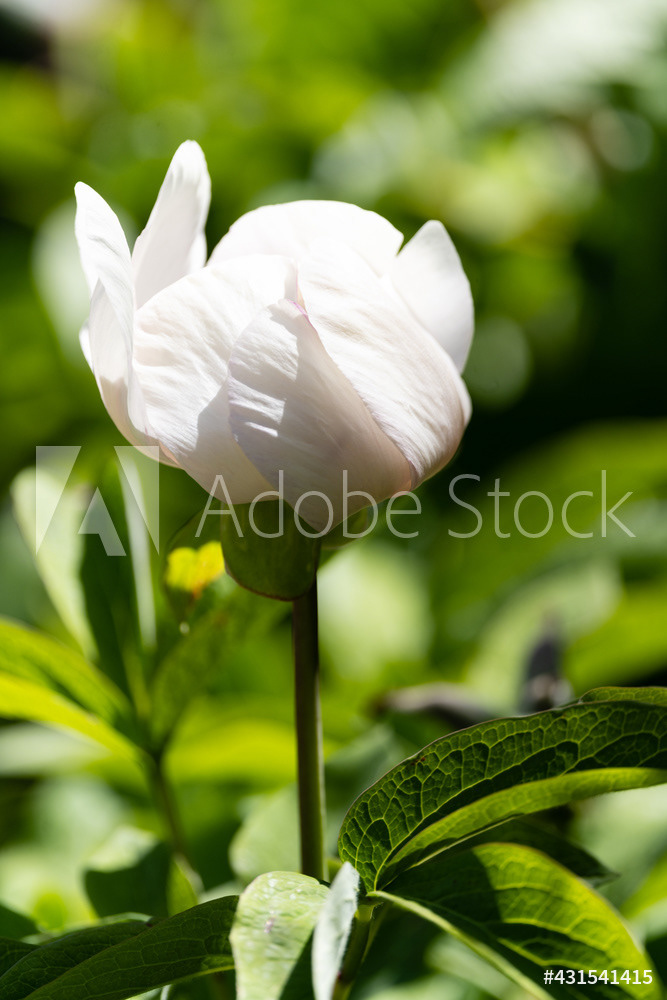 Photography by L Tyrrell