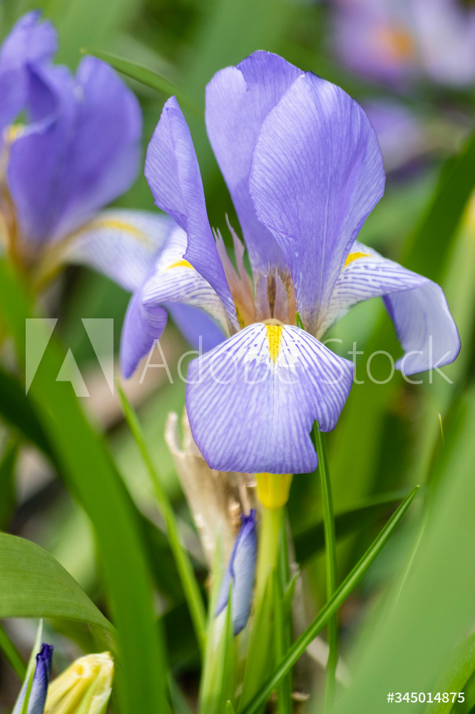 Photography by L Tyrrell