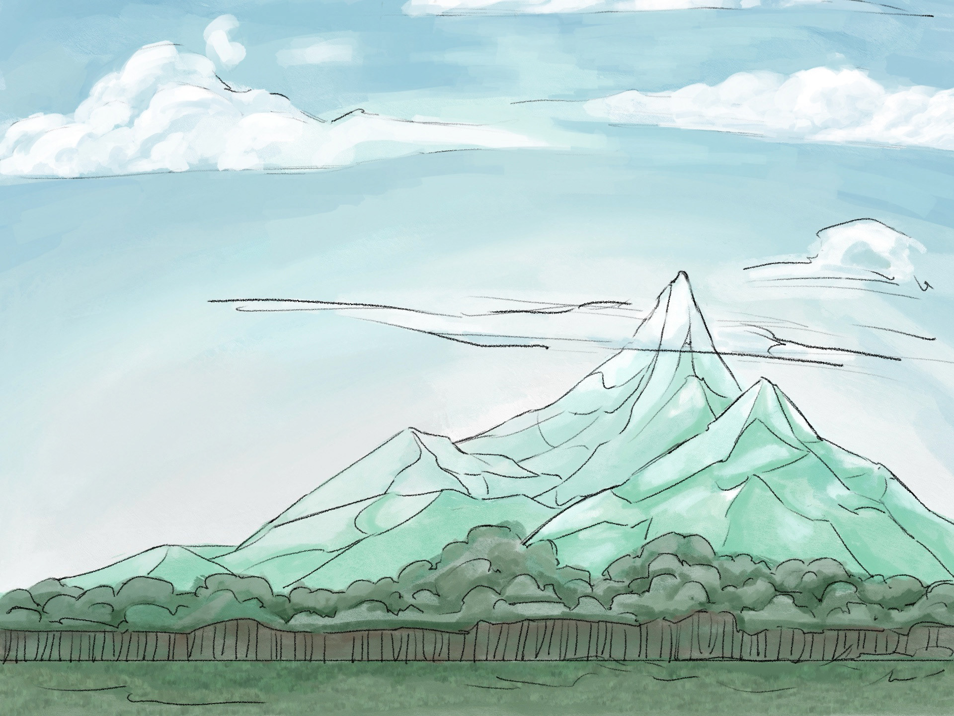 the Rainforest