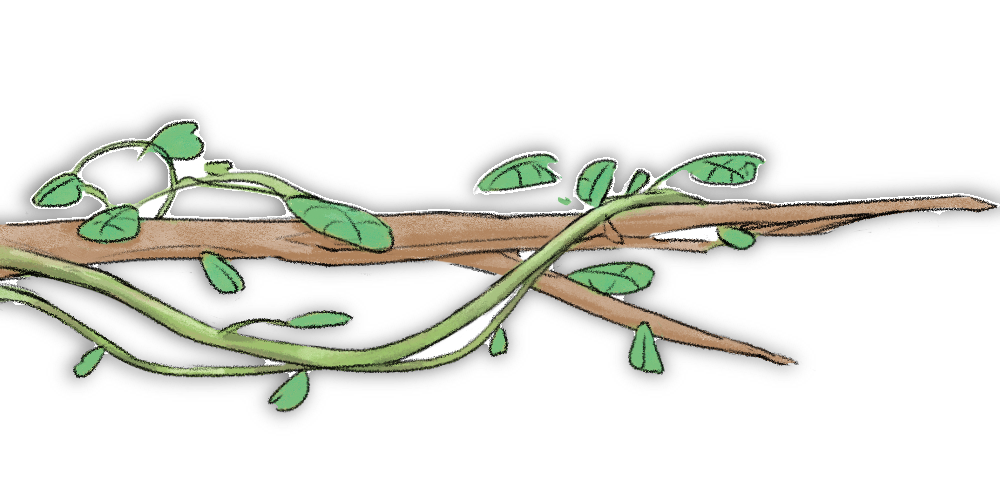 Platform Branch Type 1