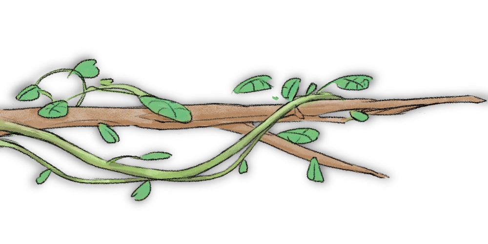 Platform Branch Type 2