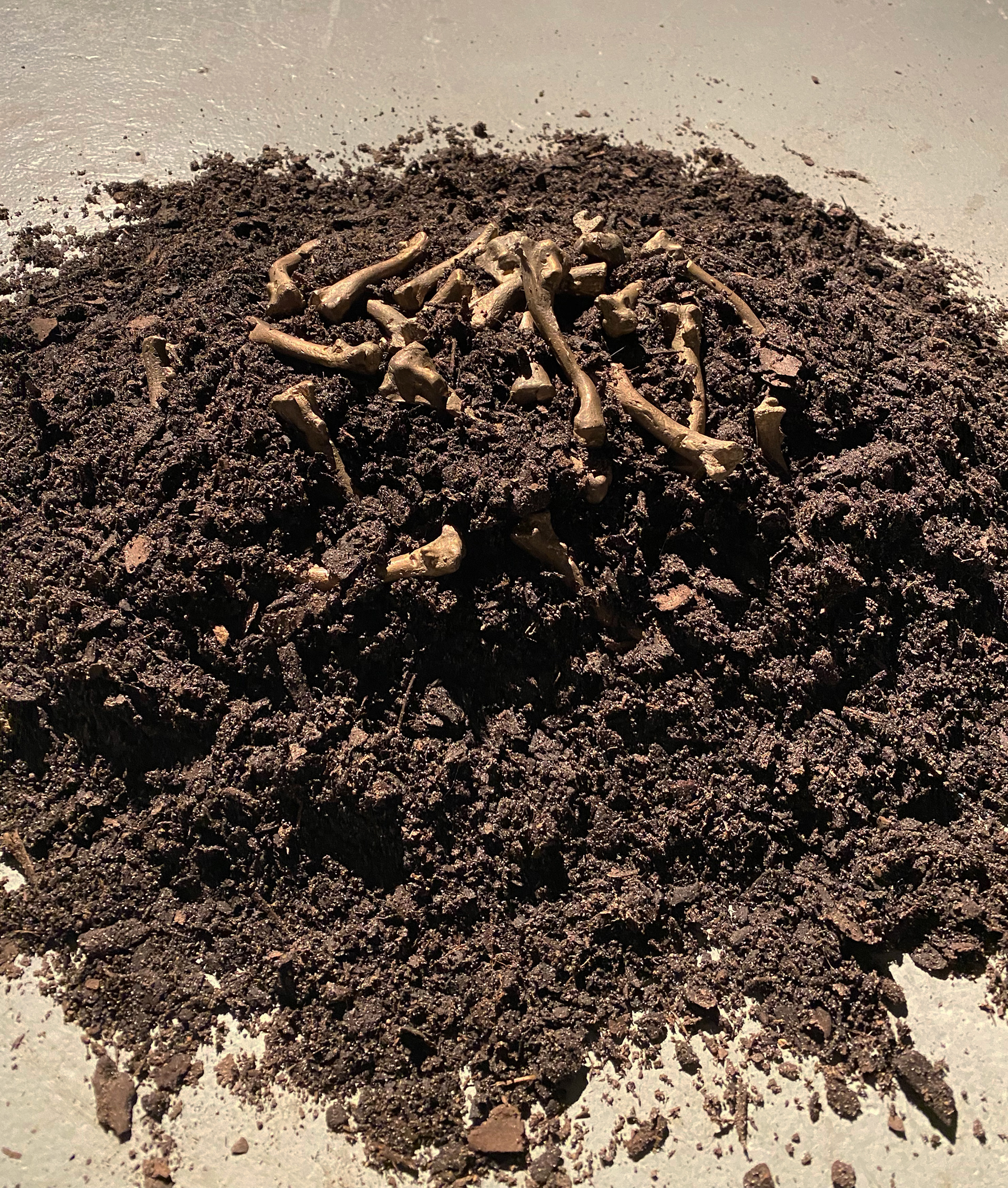 Bone Babble, bronze cast carved chicken bones, garden soil, and speaker, 2022