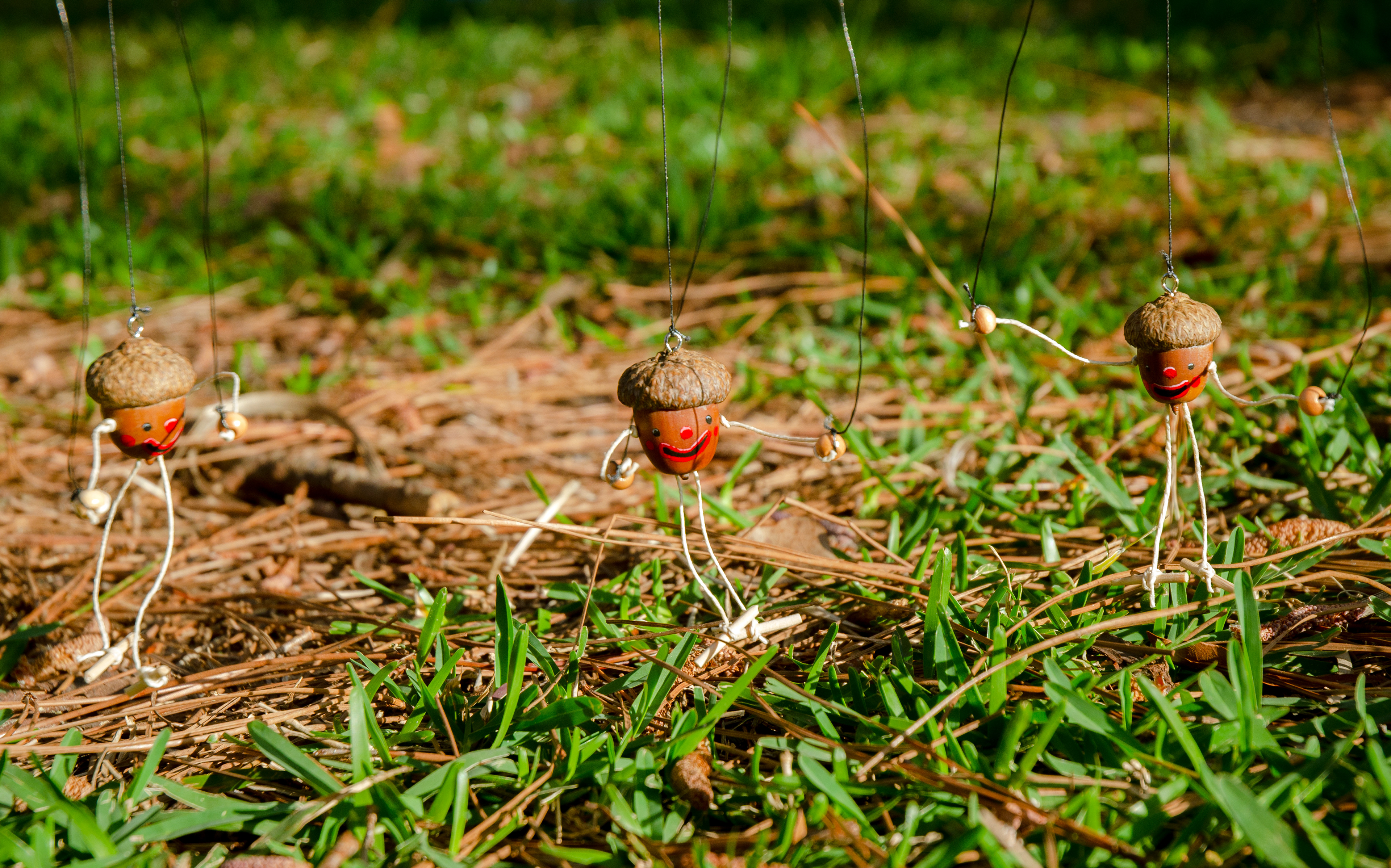 Acorn Can-can Line, acorns, acrylic, wood, and string, 2023