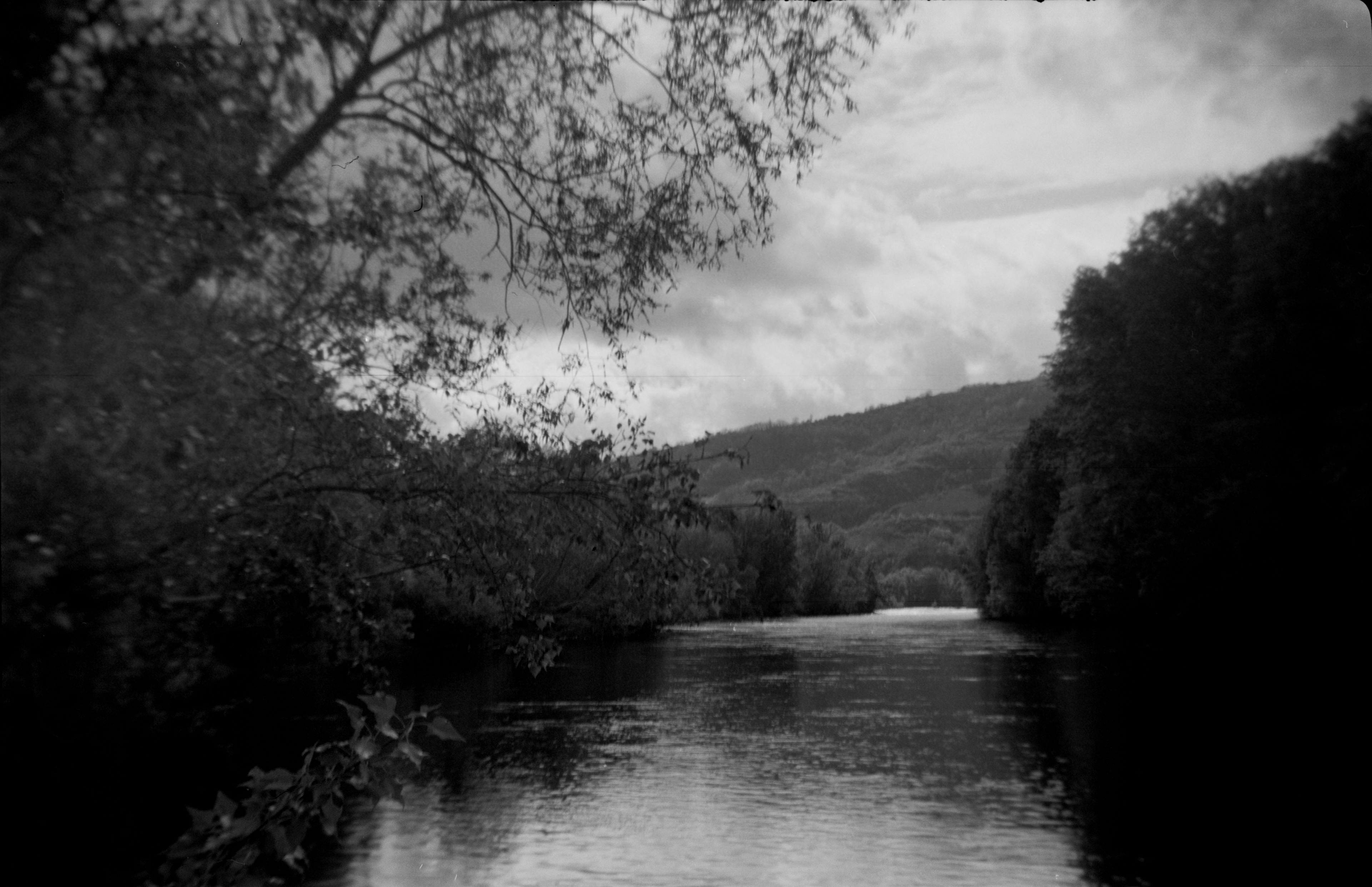 120 b&w Ilford 400