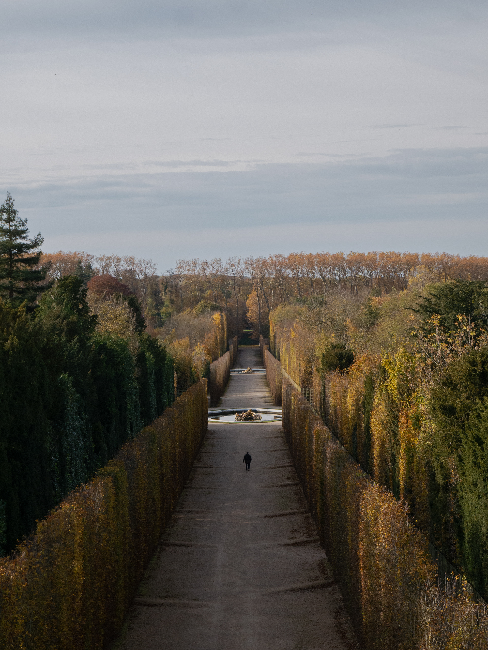 Lumix G85