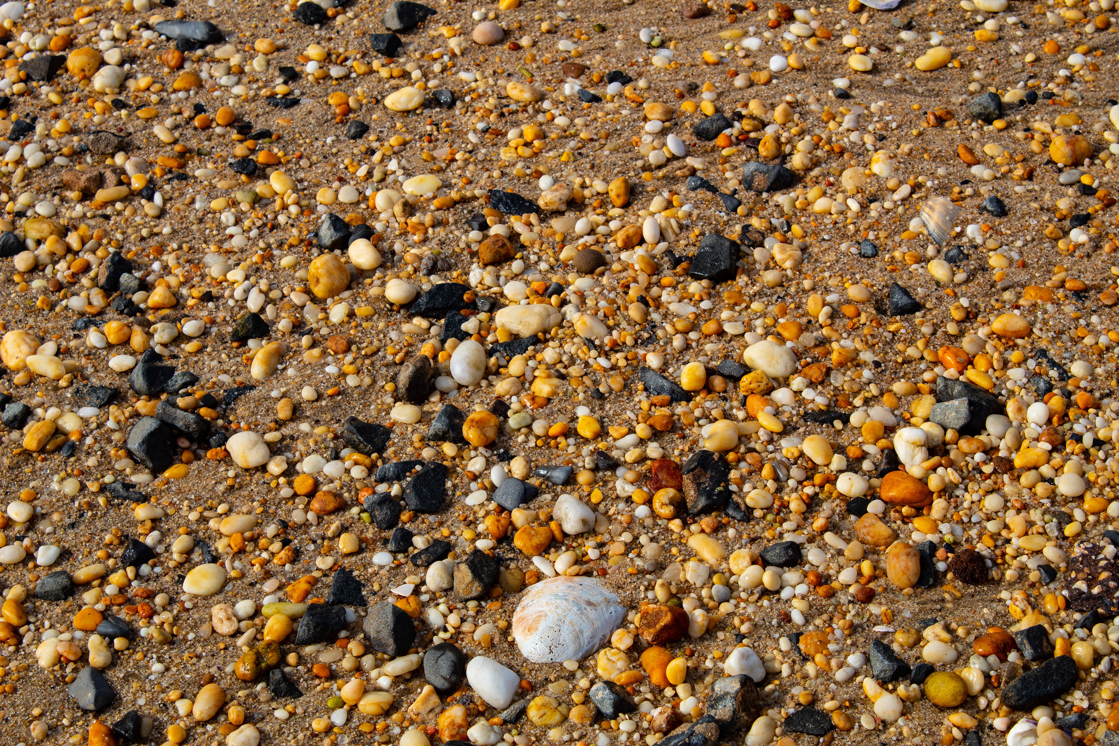 A rocky shore at Sandy Hook.